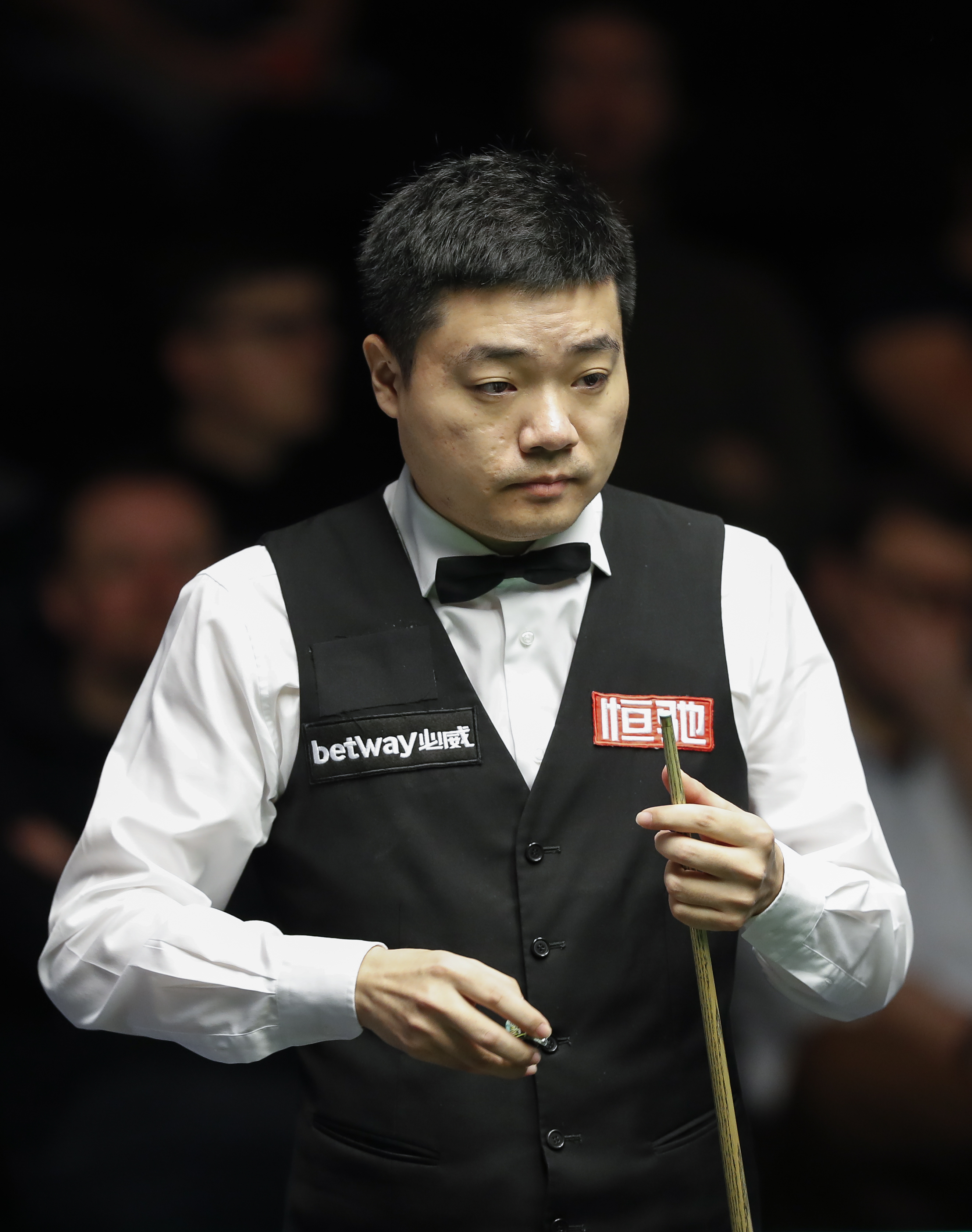 常常会给观 常常会给观