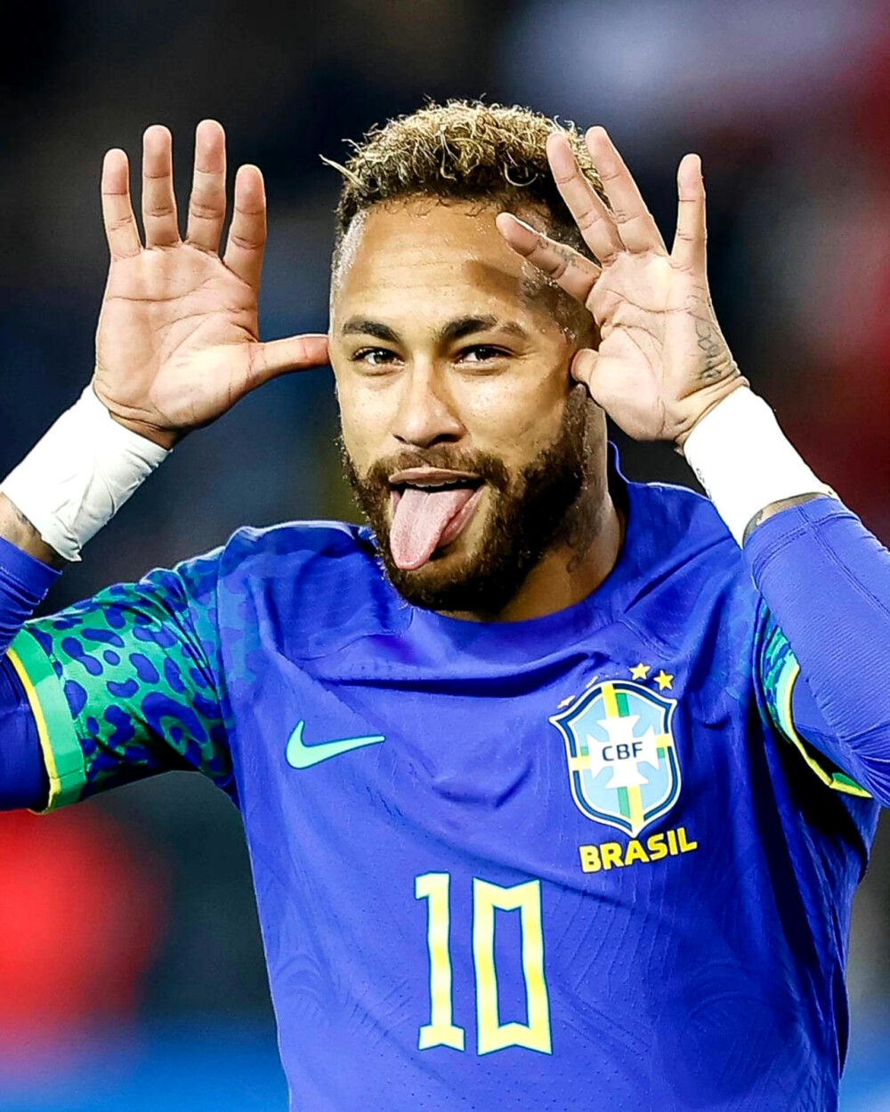 青岛男篮成 青岛男篮成